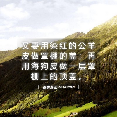 Picture 05 - 出 埃 及 记 26:14 CUVS - 又 要 用 染 红 的 公 羊 皮 做 罩 棚 - Bible Verse Picture