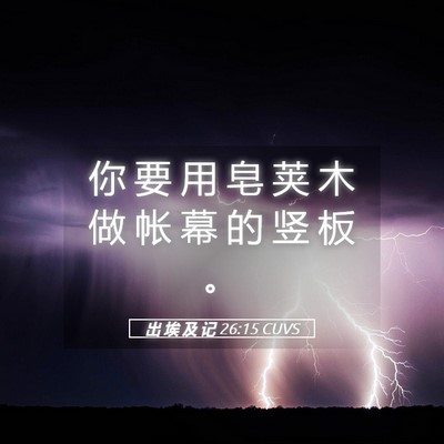Picture 05 - 出 埃 及 记 26:15 CUVS - 你 要 用 皂 荚 木 做 帐 幕 的 竖 板 - Bible Verse Picture