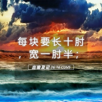 Picture 05 - 出 埃 及 记 26:16 CUVS - 每 块 要 长 十 肘 ， 宽 一 肘 半 - Bible Verse Picture