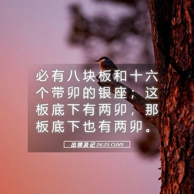 Picture 05 - 出 埃 及 记 26:25 CUVS - 必 有 八 块 板 和 十 六 个 带 卯 的 - Bible Verse Picture