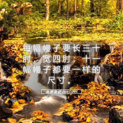 Picture 05 - 出 埃 及 记 26:8 CUVS - 每 幅 幔 子 要 长 三 十 肘 ， 宽 四 - Bible Verse Picture