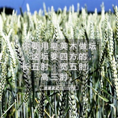 Picture 05 - 出 埃 及 记 27:1 CUVS - 你 要 用 皂 荚 木 做 坛 。 这 坛 要 - Bible Verse Picture