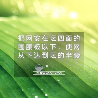 Picture 05 - 出 埃 及 记 27:5 CUVS - 把 网 安 在 坛 四 面 的 围 腰 板 以 - Bible Verse Picture