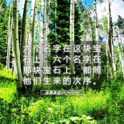 Picture 05 - 出 埃 及 记 28:10 CUVS - 六 个 名 字 在 这 块 宝 石 上 ， 六 - Bible Verse Picture