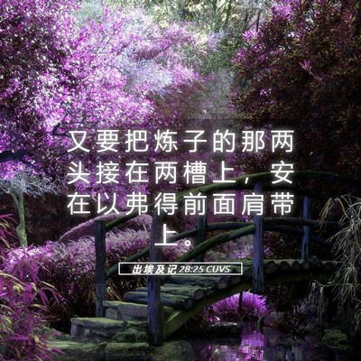 Picture 05 - 出 埃 及 记 28:25 CUVS - 又 要 把 炼 子 的 那 两 头 接 在 两 - Bible Verse Picture