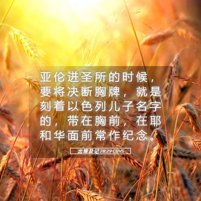 Picture 05 - 出 埃 及 记 28:29 CUVS - 亚 伦 进 圣 所 的 时 候 ， 要 将 决 - Bible Verse Picture