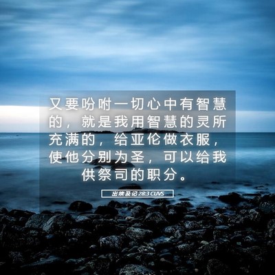 Picture 05 - 出 埃 及 记 28:3 CUVS - 又 要 吩 咐 一 切 心 中 有 智 慧 的 - Bible Verse Picture