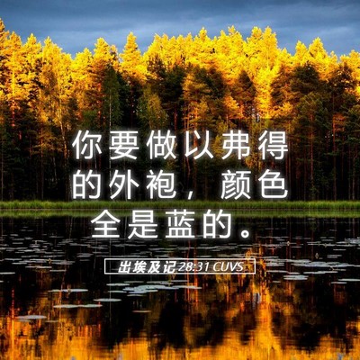 Picture 05 - 出 埃 及 记 28:31 CUVS - 你 要 做 以 弗 得 的 外 袍 ， 颜 色 - Bible Verse Picture