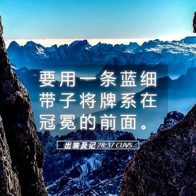 Picture 05 - 出 埃 及 记 28:37 CUVS - 要 用 一 条 蓝 细 带 子 将 牌 系 在 - Bible Verse Picture