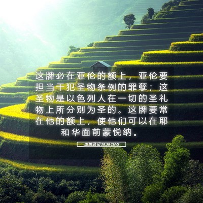 Picture 05 - 出 埃 及 记 28:38 CUVS - 这 牌 必 在 亚 伦 的 额 上 ， 亚 伦 - Bible Verse Picture