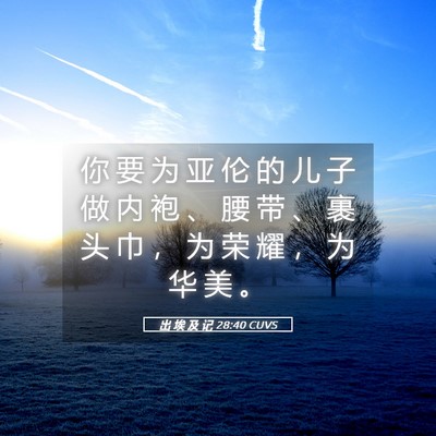 Picture 05 - 出 埃 及 记 28:40 CUVS - 你 要 为 亚 伦 的 儿 子 做 内 袍 、 - Bible Verse Picture