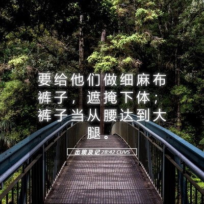 Picture 05 - 出 埃 及 记 28:42 CUVS - 要 给 他 们 做 细 麻 布 裤 子 ， 遮 - Bible Verse Picture