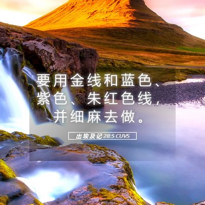 Picture 05 - 出 埃 及 记 28:5 CUVS - 要 用 金 线 和 蓝 色 、 紫 色 、 朱 - Bible Verse Picture