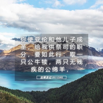 Picture 05 - 出 埃 及 记 29:1 CUVS - 你 使 亚 伦 和 他 儿 子 成 圣 ， 给 - Bible Verse Picture