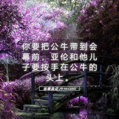 Picture 05 - 出 埃 及 记 29:10 CUVS - 你 要 把 公 牛 带 到 会 幕 前 ， 亚 - Bible Verse Picture