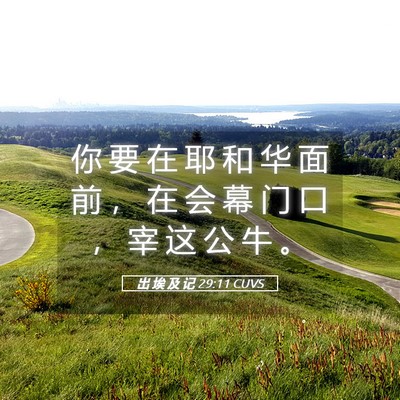 Picture 05 - 出 埃 及 记 29:11 CUVS - 你 要 在 耶 和 华 面 前 ， 在 会 幕 - Bible Verse Picture