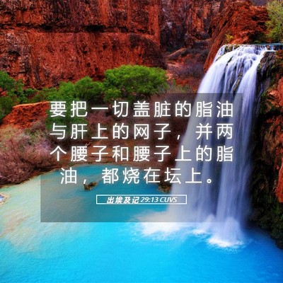 Picture 05 - 出 埃 及 记 29:13 CUVS - 要 把 一 切 盖 脏 的 脂 油 与 肝 上 - Bible Verse Picture