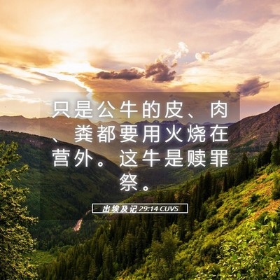 Picture 05 - 出 埃 及 记 29:14 CUVS - 只 是 公 牛 的 皮 、 肉 、 粪 都 要 - Bible Verse Picture
