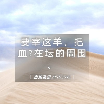 Picture 05 - 出 埃 及 记 29:16 CUVS - 要 宰 这 羊 ， 把 血 ? 在 坛 的 周 围 - Bible Verse Picture