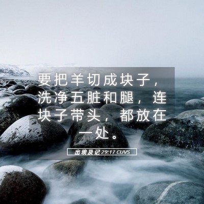Picture 05 - 出 埃 及 记 29:17 CUVS - 要 把 羊 切 成 块 子 ， 洗 净 五 脏 - Bible Verse Picture