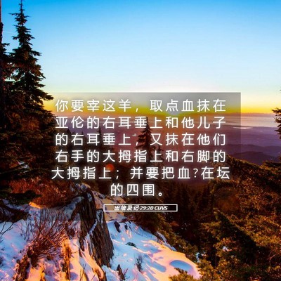 Picture 05 - 出 埃 及 记 29:20 CUVS - 你 要 宰 这 羊 ， 取 点 血 抹 在 亚 - Bible Verse Picture