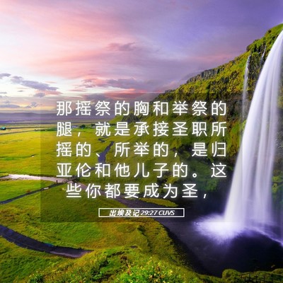 Picture 05 - 出 埃 及 记 29:27 CUVS - 那 摇 祭 的 胸 和 举 祭 的 腿 ， 就 - Bible Verse Picture