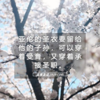 Picture 05 - 出 埃 及 记 29:29 CUVS - 亚 伦 的 圣 衣 要 留 给 他 的 子 孙 - Bible Verse Picture