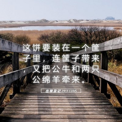 Picture 05 - 出 埃 及 记 29:3 CUVS - 这 饼 要 装 在 一 个 筐 子 里 ， 连 - Bible Verse Picture