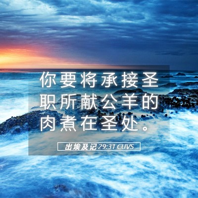 Picture 05 - 出 埃 及 记 29:31 CUVS - 你 要 将 承 接 圣 职 所 献 公 羊 的 - Bible Verse Picture