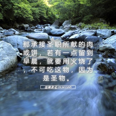 Picture 05 - 出 埃 及 记 29:34 CUVS - 那 承 接 圣 职 所 献 的 肉 或 饼 ， - Bible Verse Picture
