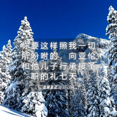 Picture 05 - 出 埃 及 记 29:35 CUVS - 你 要 这 样 照 我 一 切 所 吩 咐 的 - Bible Verse Picture