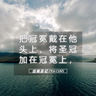 Picture 05 - 出 埃 及 记 29:6 CUVS - 把 冠 冕 戴 在 他 头 上 ， 将 圣 冠 - Bible Verse Picture