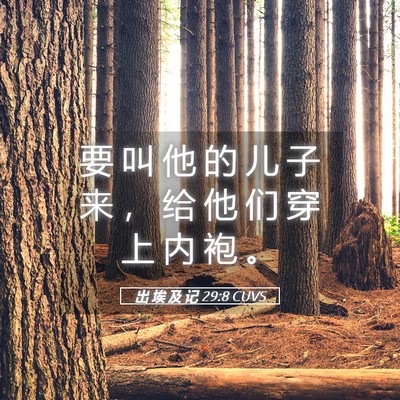 Picture 05 - 出 埃 及 记 29:8 CUVS - 要 叫 他 的 儿 子 来 ， 给 他 们 穿 - Bible Verse Picture