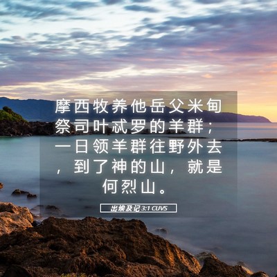 Picture 05 - 出 埃 及 记 3:1 CUVS - 摩 西 牧 养 他 岳 父 米 甸 祭 司 叶 - Bible Verse Picture