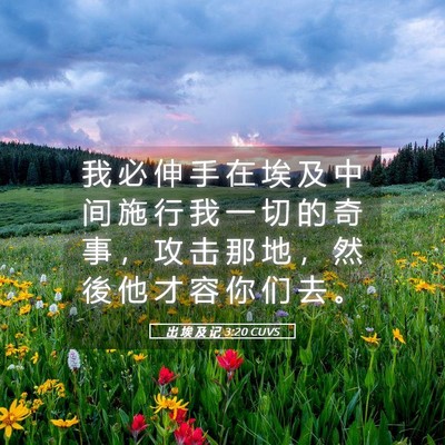 Picture 05 - 出 埃 及 记 3:20 CUVS - 我 必 伸 手 在 埃 及 中 间 施 行 我 - Bible Verse Picture