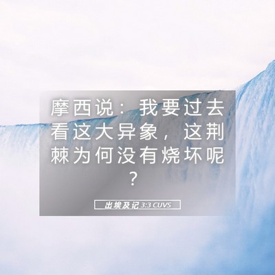 Picture 05 - 出 埃 及 记 3:3 CUVS - 摩 西 说 ： 我 要 过 去 看 这 大 异 - Bible Verse Picture