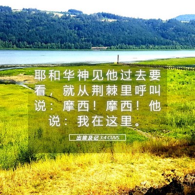 Picture 05 - 出 埃 及 记 3:4 CUVS - 耶 和 华 神 见 他 过 去 要 看 ， 就 - Bible Verse Picture