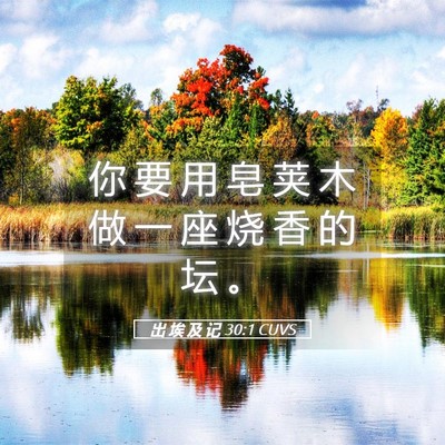 Picture 05 - 出 埃 及 记 30:1 CUVS - 你 要 用 皂 荚 木 做 一 座 烧 香 的 - Bible Verse Picture
