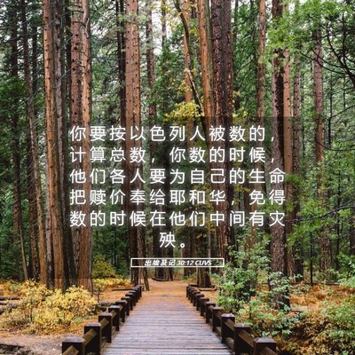 Picture 05 - 出 埃 及 记 30:12 CUVS - 你 要 按 以 色 列 人 被 数 的 ， 计 - Bible Verse Picture