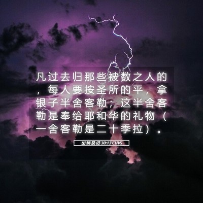 Picture 05 - 出 埃 及 记 30:13 CUVS - 凡 过 去 归 那 些 被 数 之 人 的 ， - Bible Verse Picture