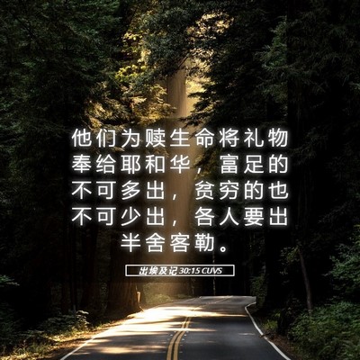 Picture 05 - 出 埃 及 记 30:15 CUVS - 他 们 为 赎 生 命 将 礼 物 奉 给 耶 - Bible Verse Picture