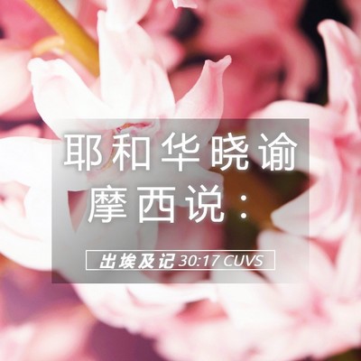 Picture 05 - 出 埃 及 记 30:17 CUVS - 耶 和 华 晓 谕 摩 西 说 - Bible Verse Picture