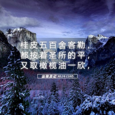 Picture 05 - 出 埃 及 记 30:24 CUVS - 桂 皮 五 百 舍 客 勒 ， 都 按 着 圣 - Bible Verse Picture