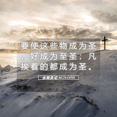 Picture 05 - 出 埃 及 记 30:29 CUVS - 要 使 这 些 物 成 为 圣 ， 好 成 为 - Bible Verse Picture