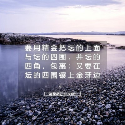 Picture 05 - 出 埃 及 记 30:3 CUVS - 要 用 精 金 把 坛 的 上 面 与 坛 的 - Bible Verse Picture