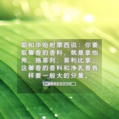 Picture 05 - 出 埃 及 记 30:34 CUVS - 耶 和 华 吩 咐 摩 西 说 ： 你 要 取 - Bible Verse Picture