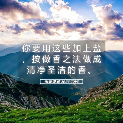 Picture 05 - 出 埃 及 记 30:35 CUVS - 你 要 用 这 些 加 上 盐 ， 按 做 香 - Bible Verse Picture