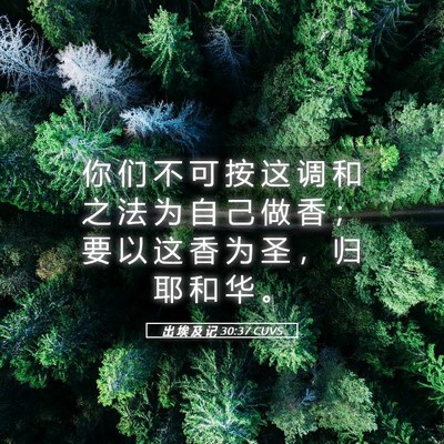 Picture 05 - 出 埃 及 记 30:37 CUVS - 你 们 不 可 按 这 调 和 之 法 为 自 - Bible Verse Picture