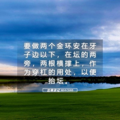 Picture 05 - 出 埃 及 记 30:4 CUVS - 要 做 两 个 金 环 安 在 牙 子 边 以 - Bible Verse Picture