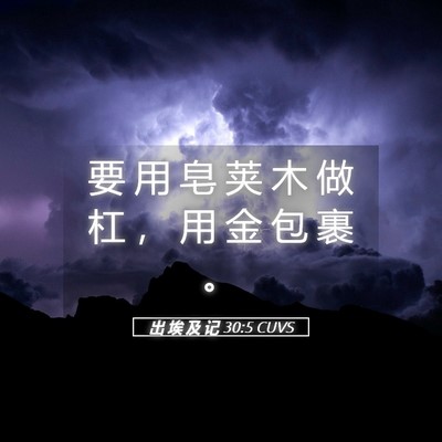 Picture 05 - 出 埃 及 记 30:5 CUVS - 要 用 皂 荚 木 做 杠 ， 用 金 包 裹 - Bible Verse Picture